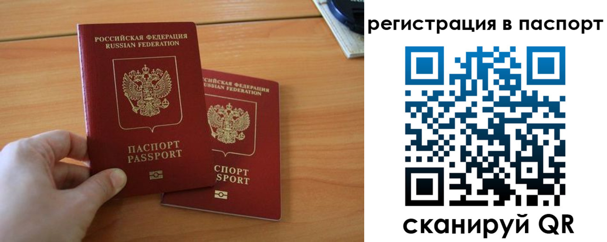 пропишу в квартире в Ельне